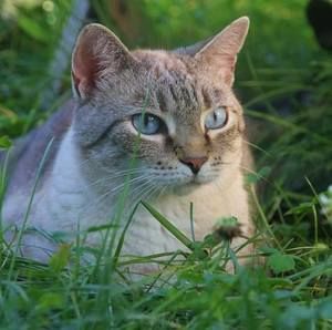 Meet your Posher, Ann